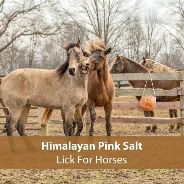 Himalayan Salt Horse lick on a rope ( 1 to 2kg ) My Store 